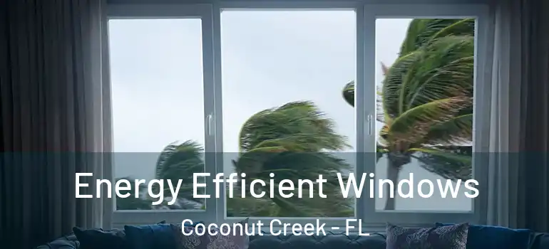 Energy Efficient Windows Coconut Creek - FL