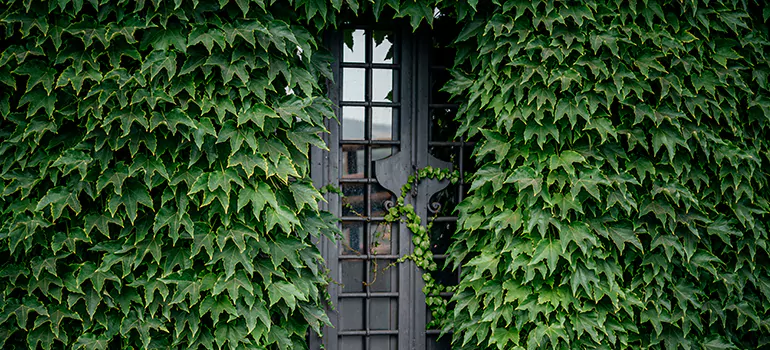 Garden Gate Repair in Coconut Creek, FL