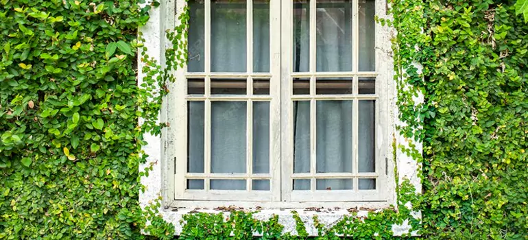 Garden Window Repair Near Me in Coconut Creek, FL
