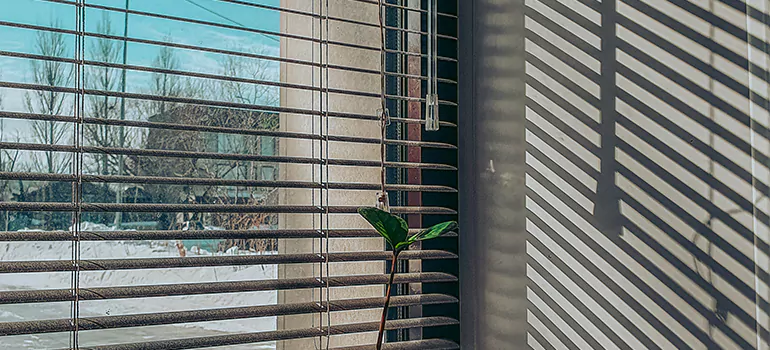 Commercial Window Blinds in Coconut Creek, FL