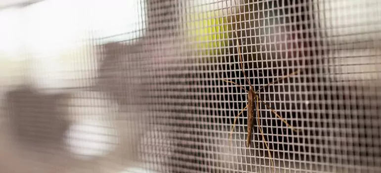Repair Mosquito Mesh For Windows in Coconut Creek, FL